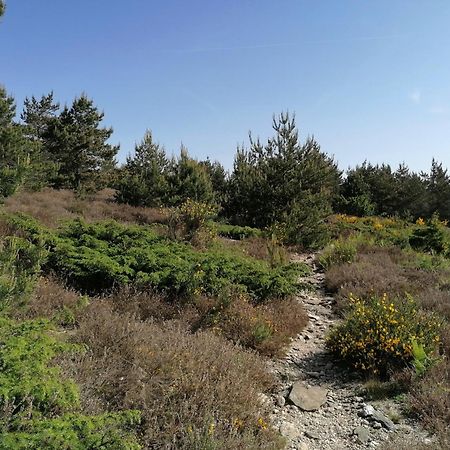 Gite Cote Nature Cabrerolles Exterior foto